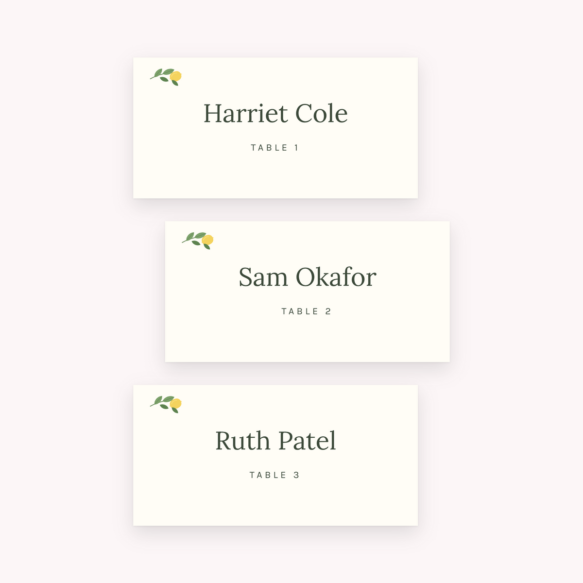 Citrus place cards, shown with the sample names Olivia & James