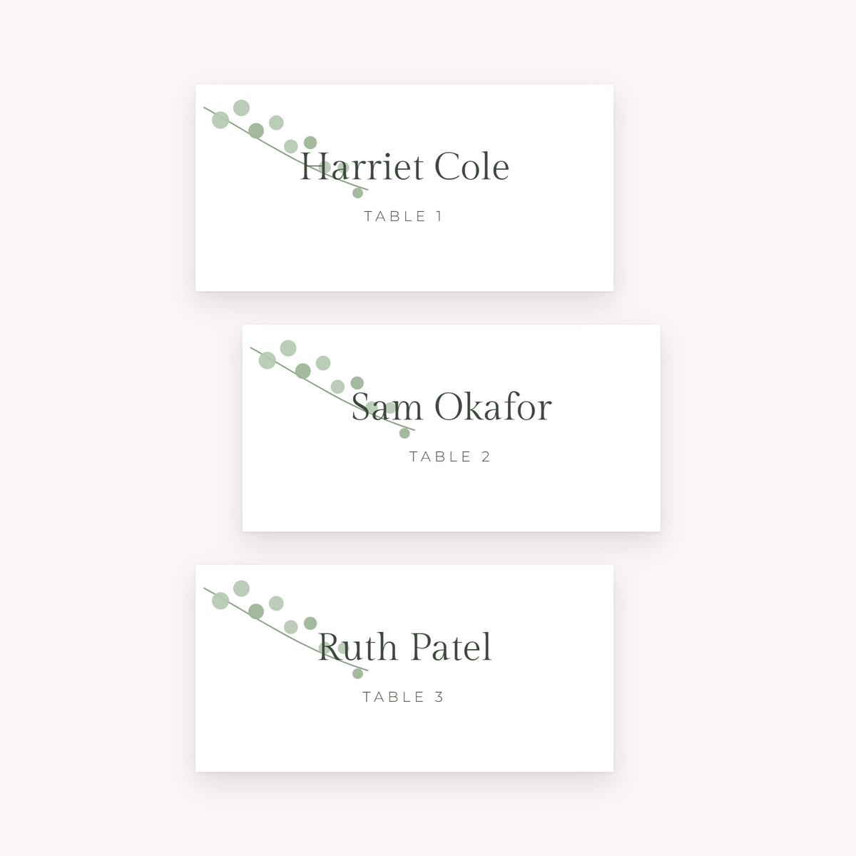 Eucalyptus place cards, shown with the sample names Olivia & James