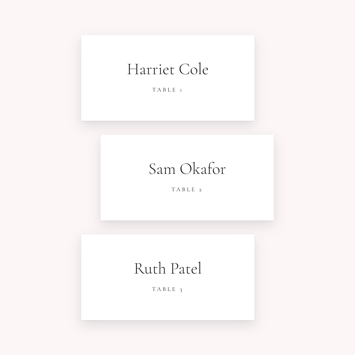 Ledger place cards, shown with the sample names Olivia & James