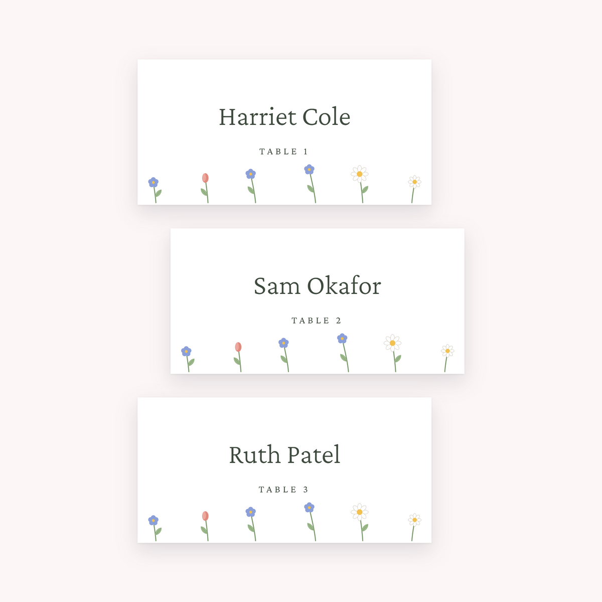 Meadow place cards, shown with the sample names Olivia & James